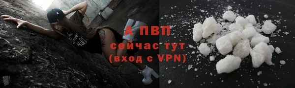 эйфоретик Новодвинск