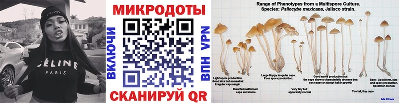 Галлюциногенные грибы мухоморы  Купить где  Улан-Удэ 